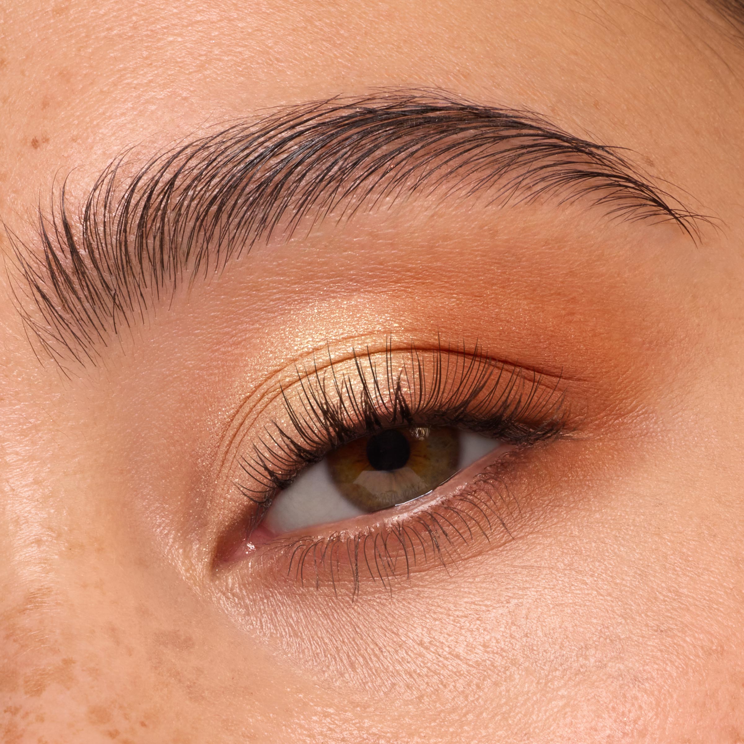 Feelin' Toasty - 图片 4