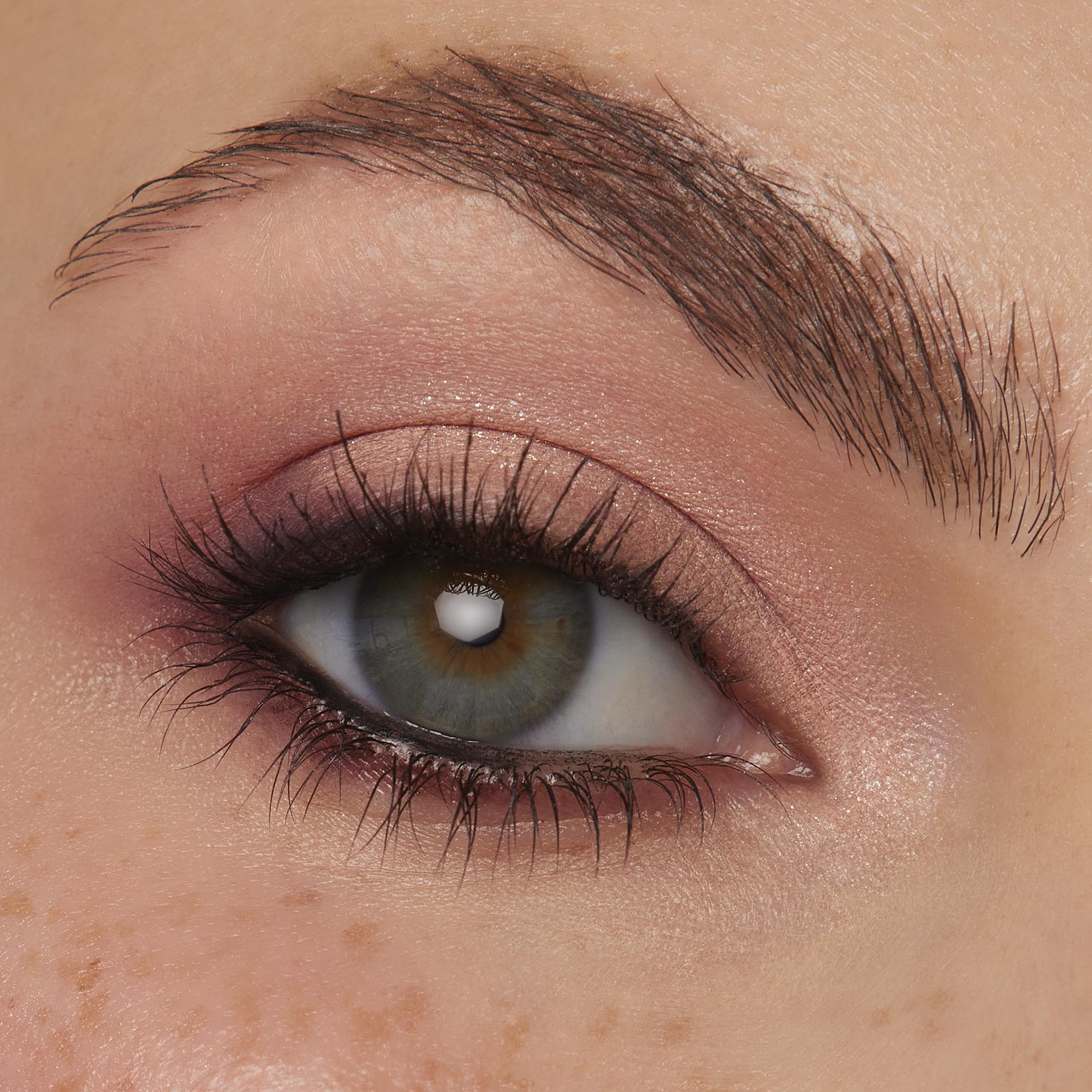 Coconut BB - 图片 7