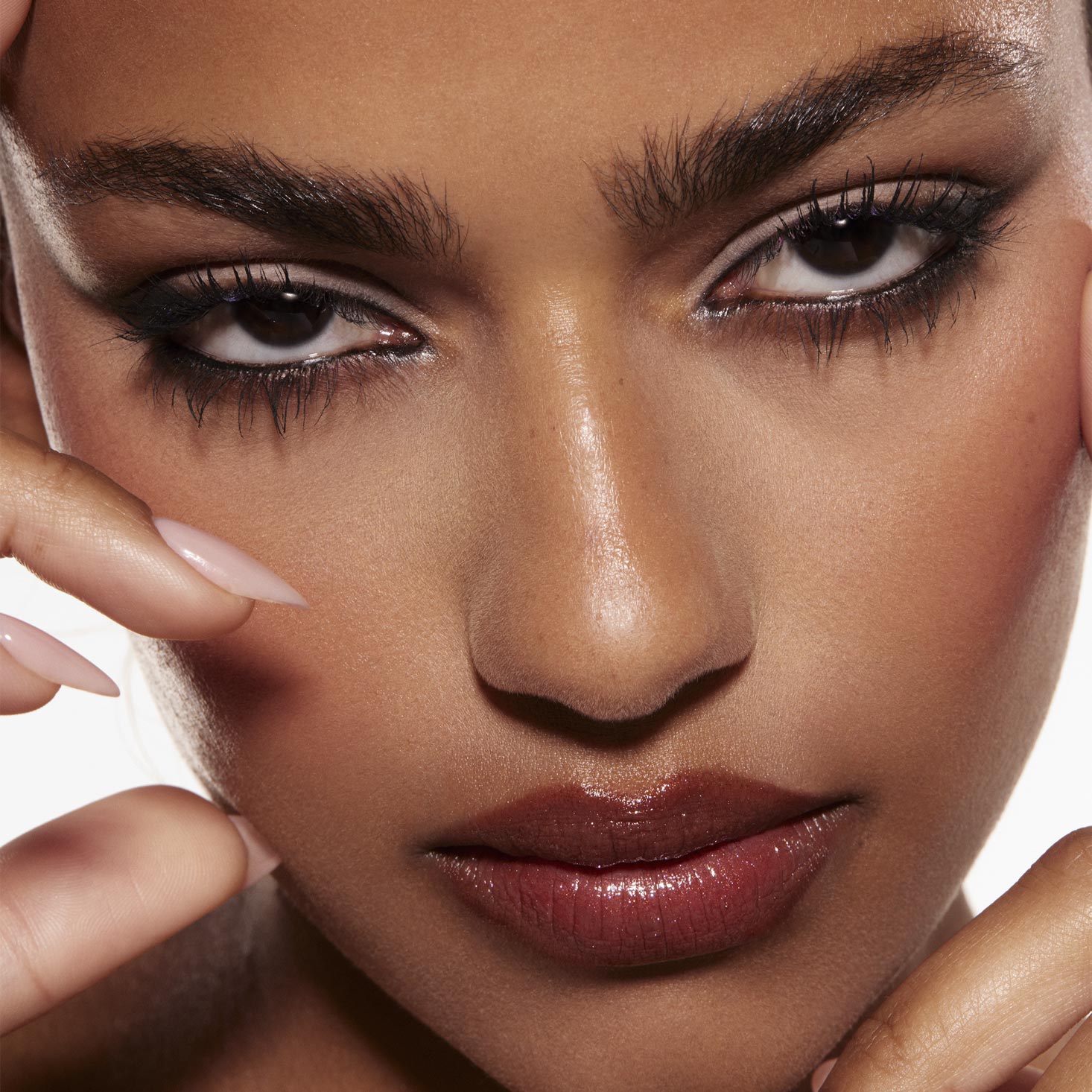 Stone Cold Fox - 图片 4