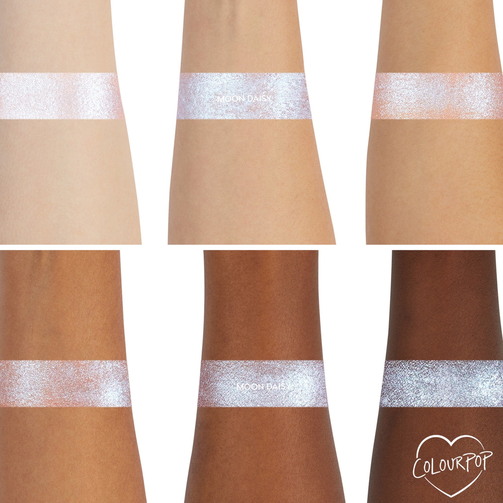 Moon Daisy - 图片 5