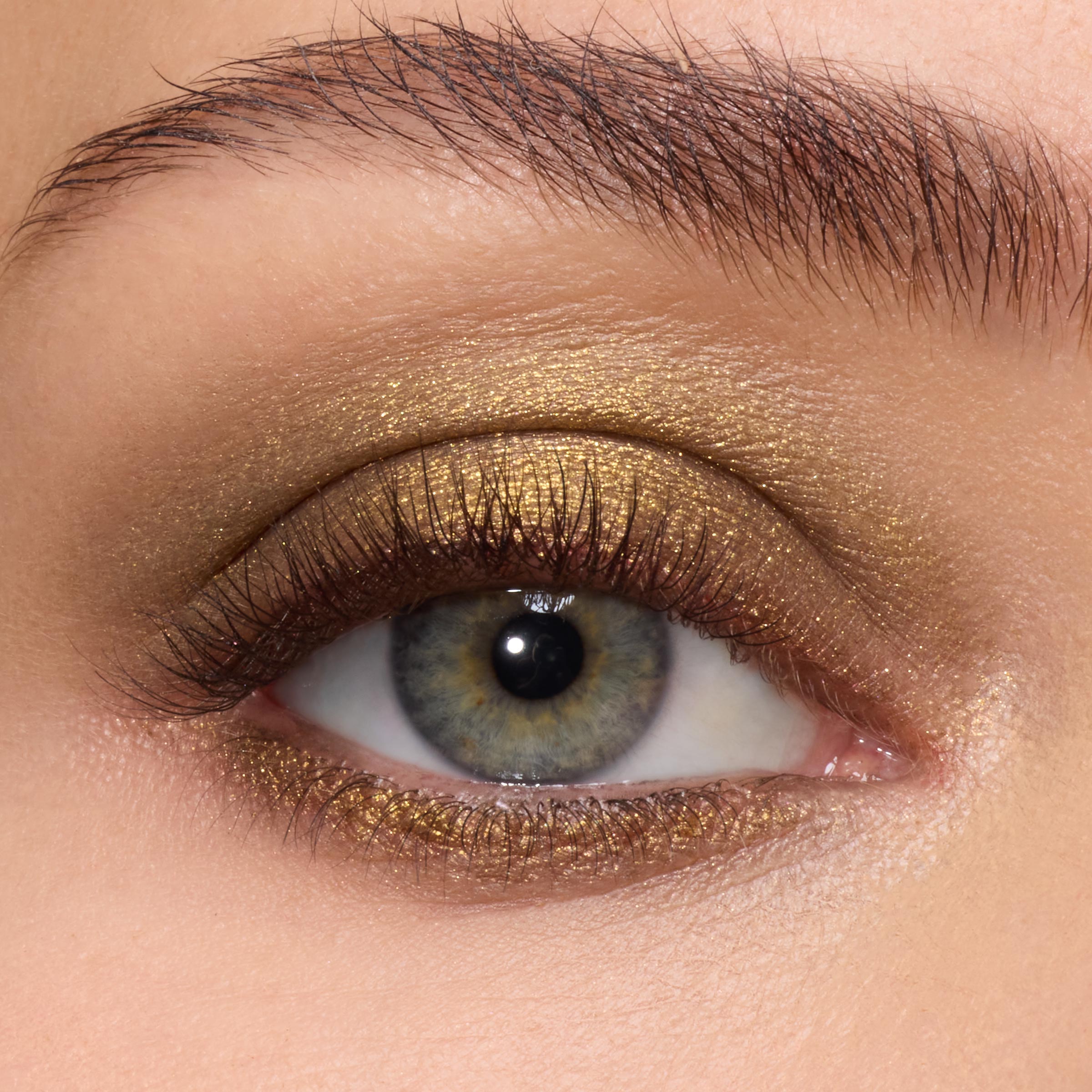 We Won't Bite - 图片 4