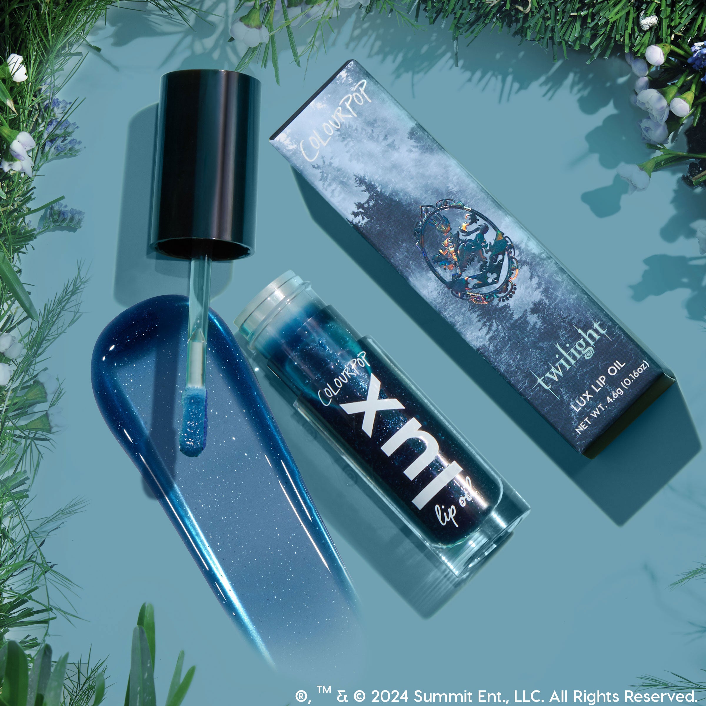 Team Edward - 图片 7