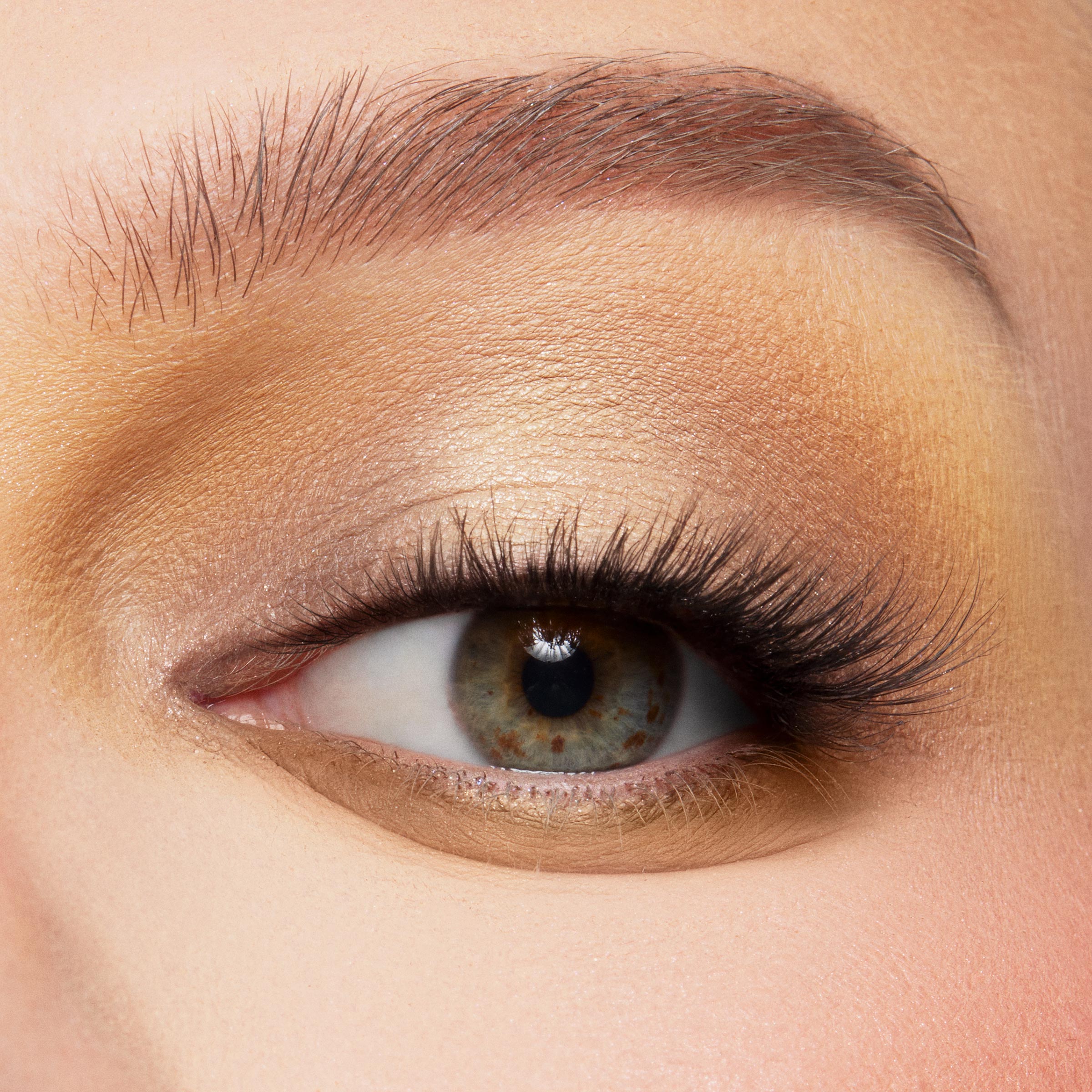 The Toys Are Here - 图片 5